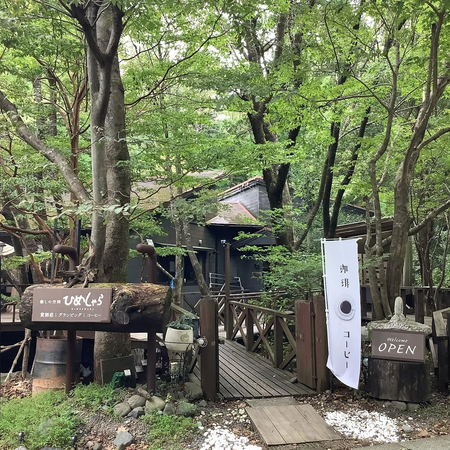 霊峰高千穂峯を背景に牧場でノンビリと食を喰む羊達です、ひめし...