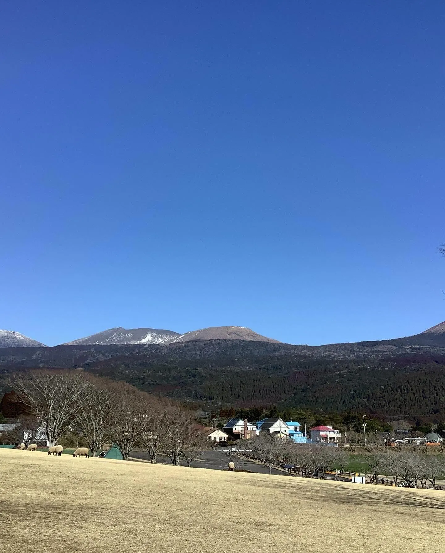 早いもので今年も２月中旬、ひめしゃら周辺にも遠くから微かに確...