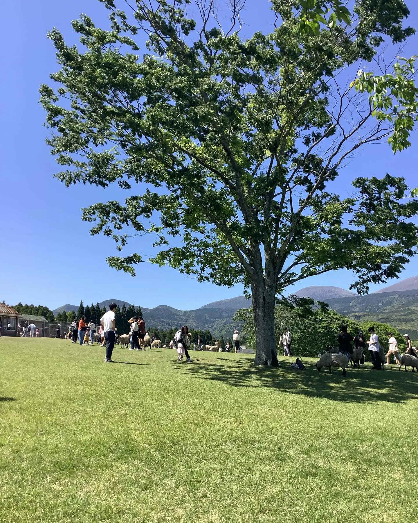 多人数で宿泊可能な貸別荘