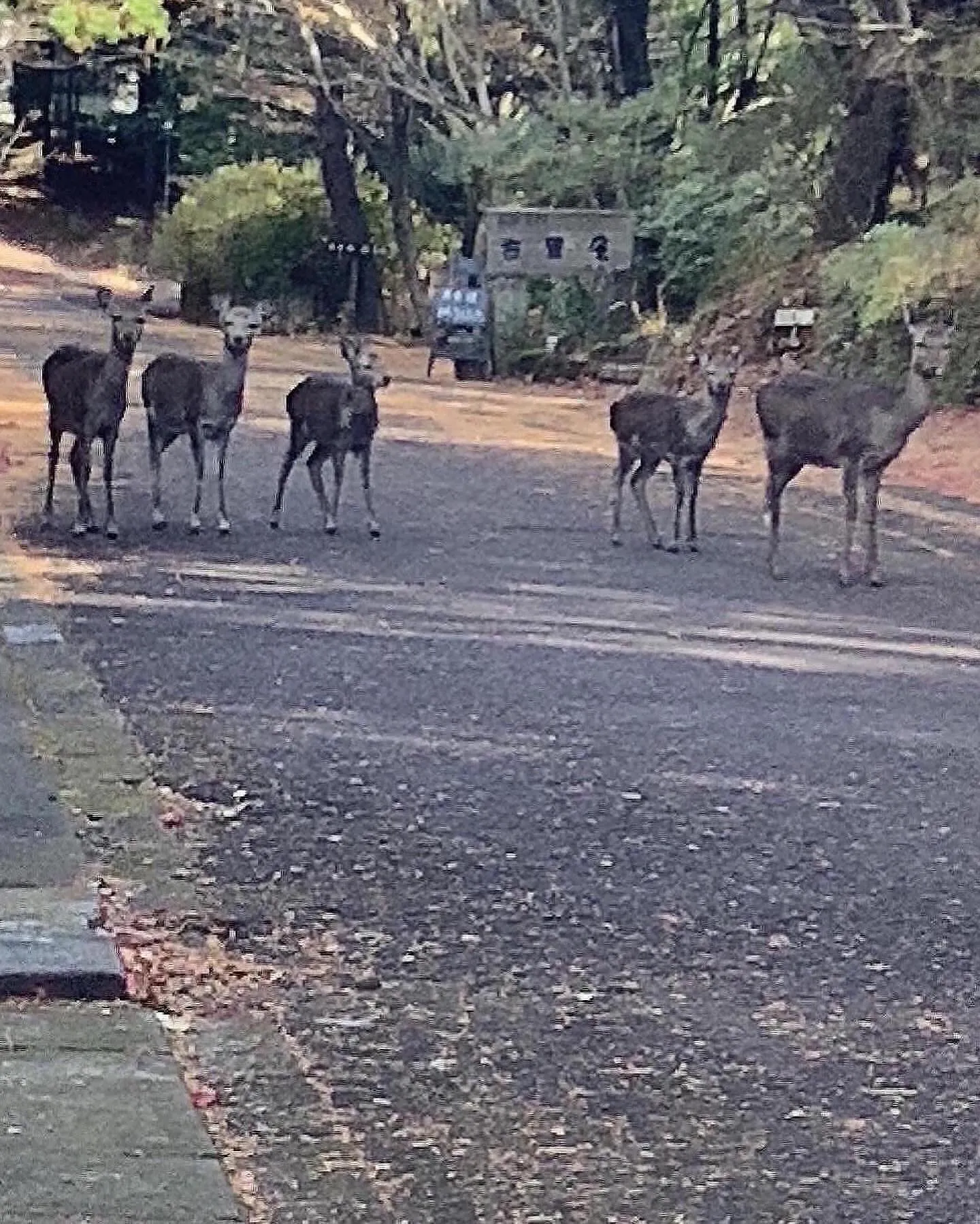 大人数での宿泊可能な貸別荘