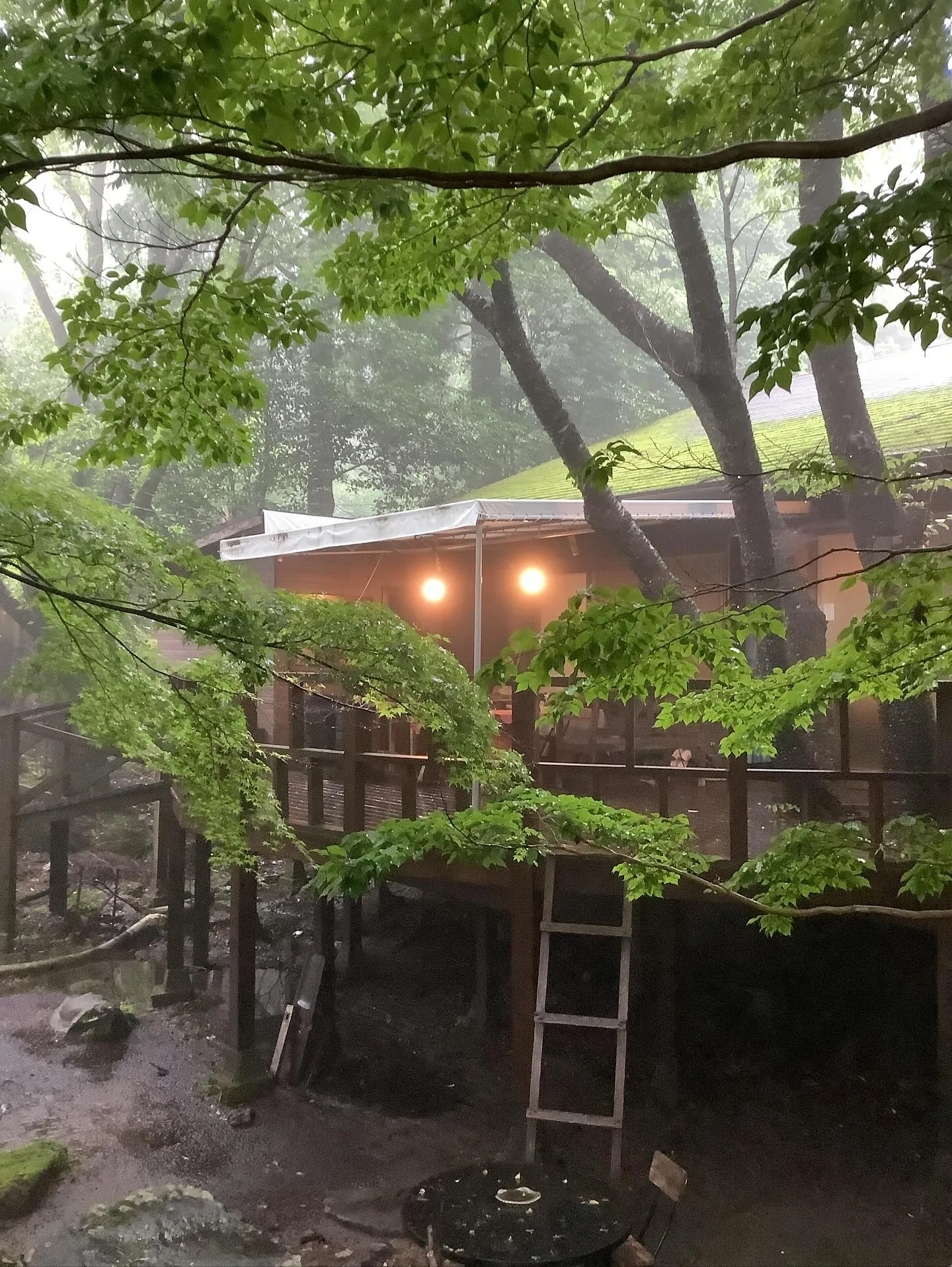 梅雨☂️現在進行形