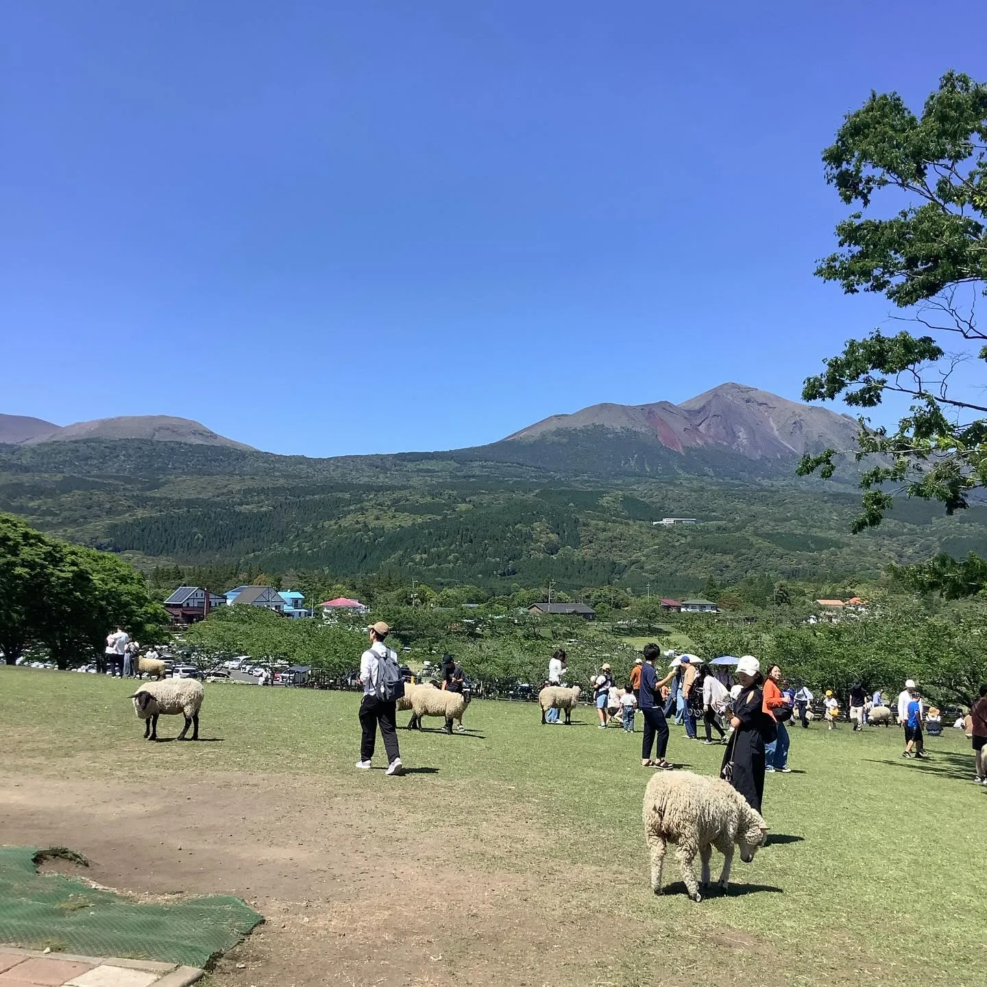 今日は梅雨の中休み