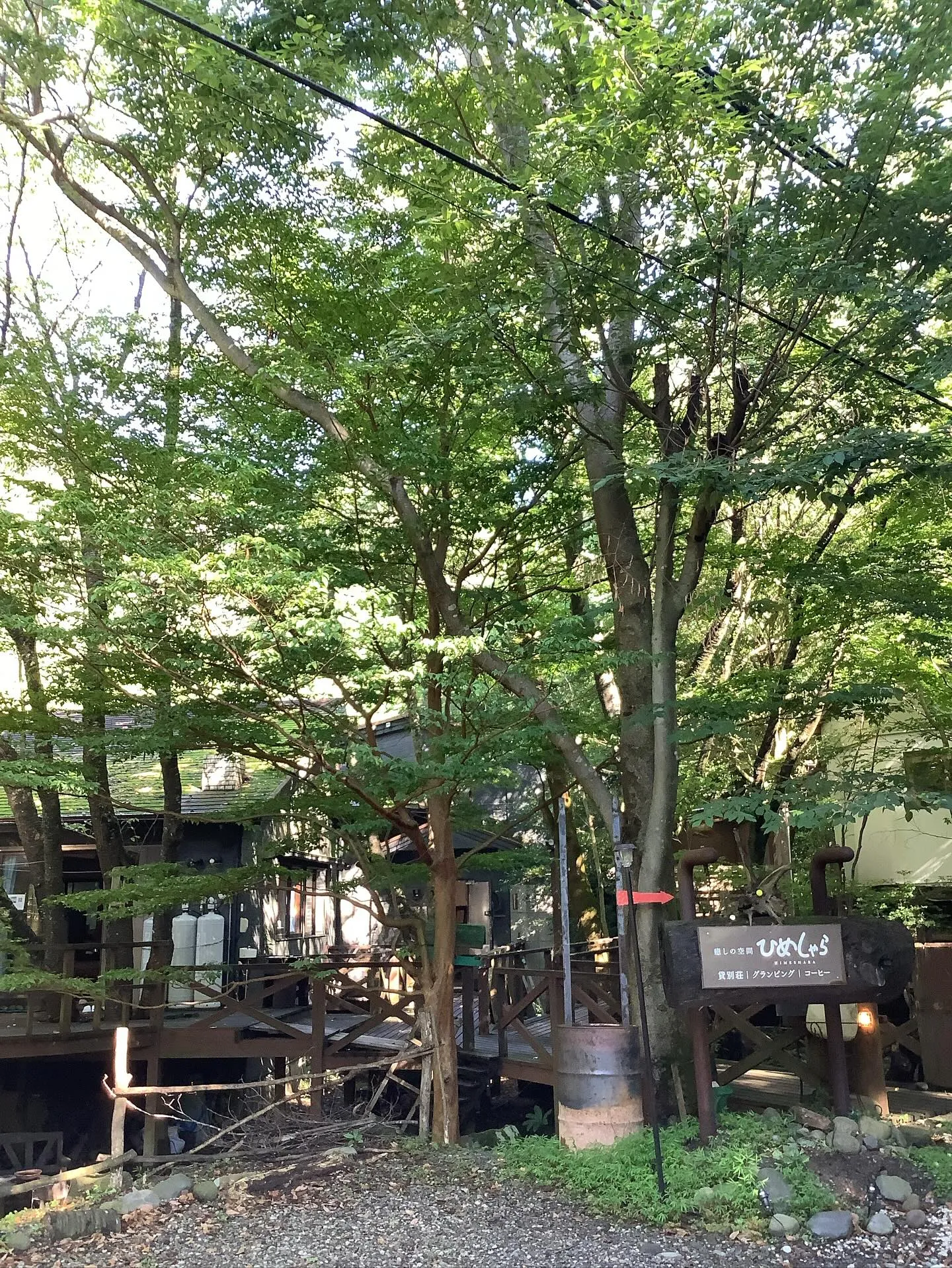国宝霧島神宮と霧島連山
