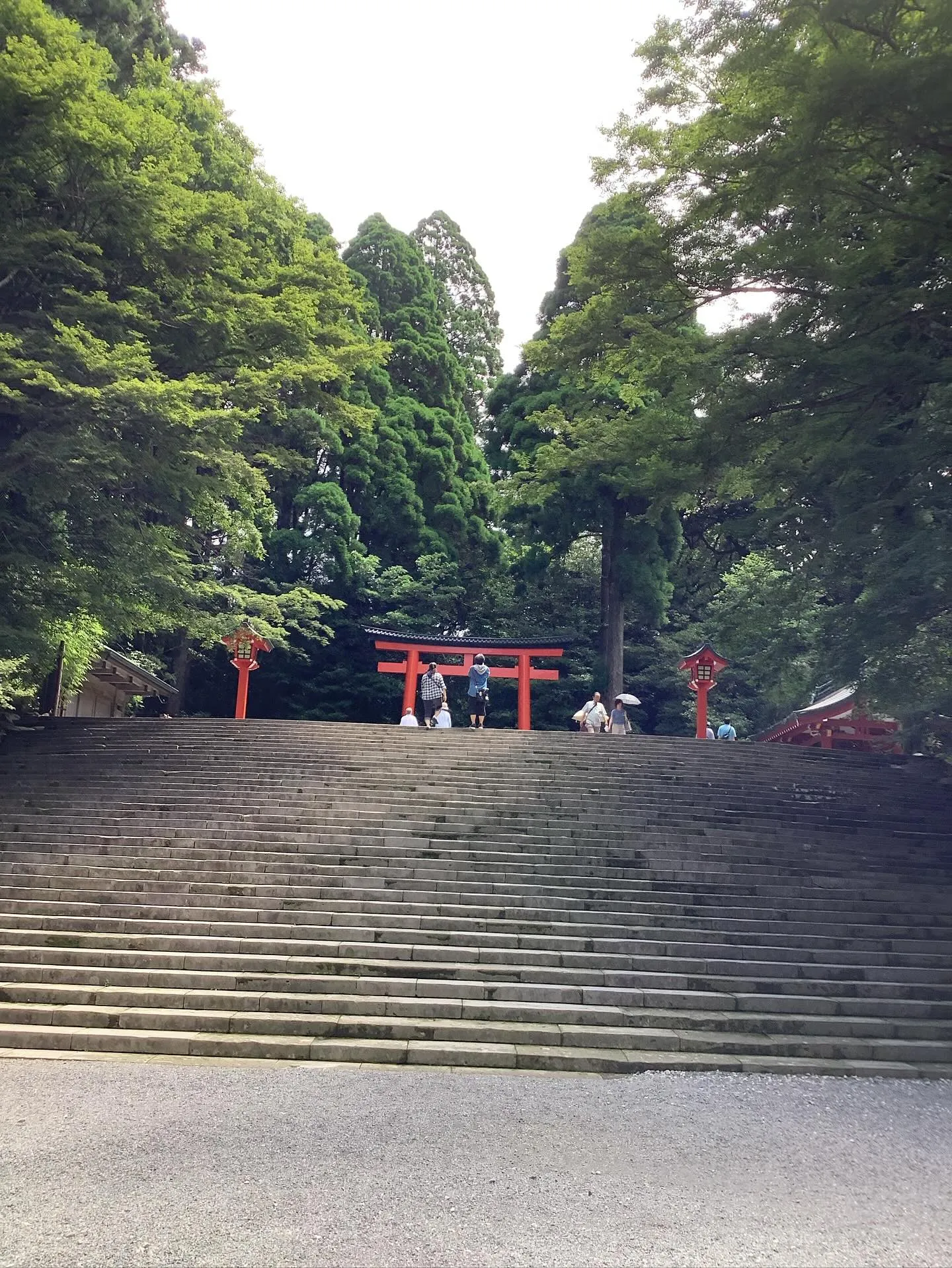 霧島大人数貸別荘