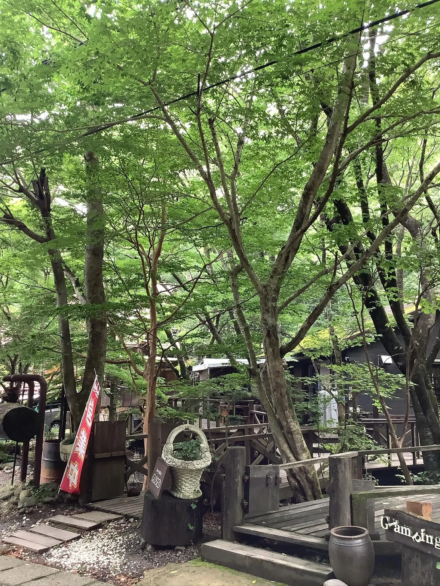霧島国立公園