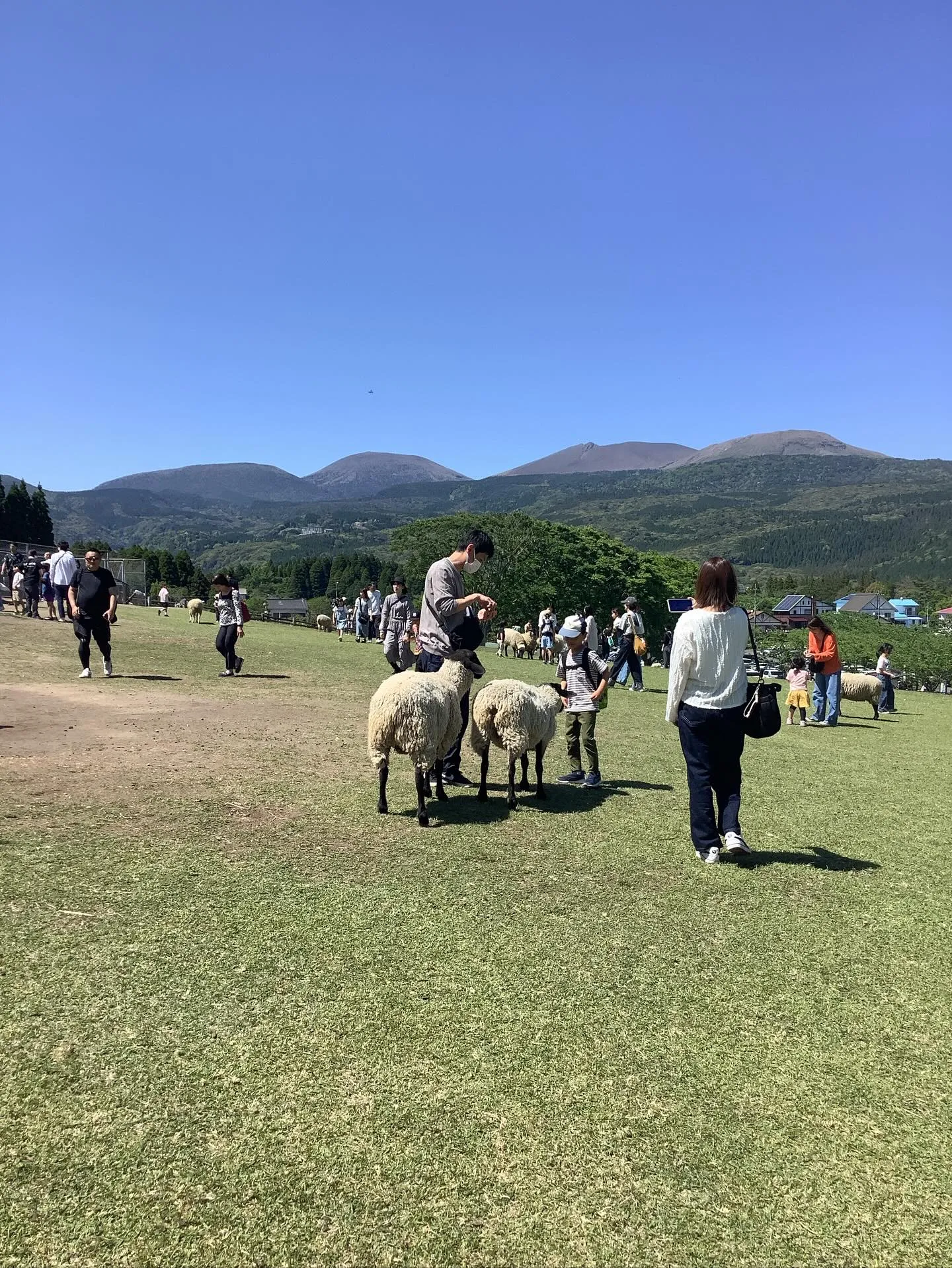 霧島国立公園周辺　霧島神宮