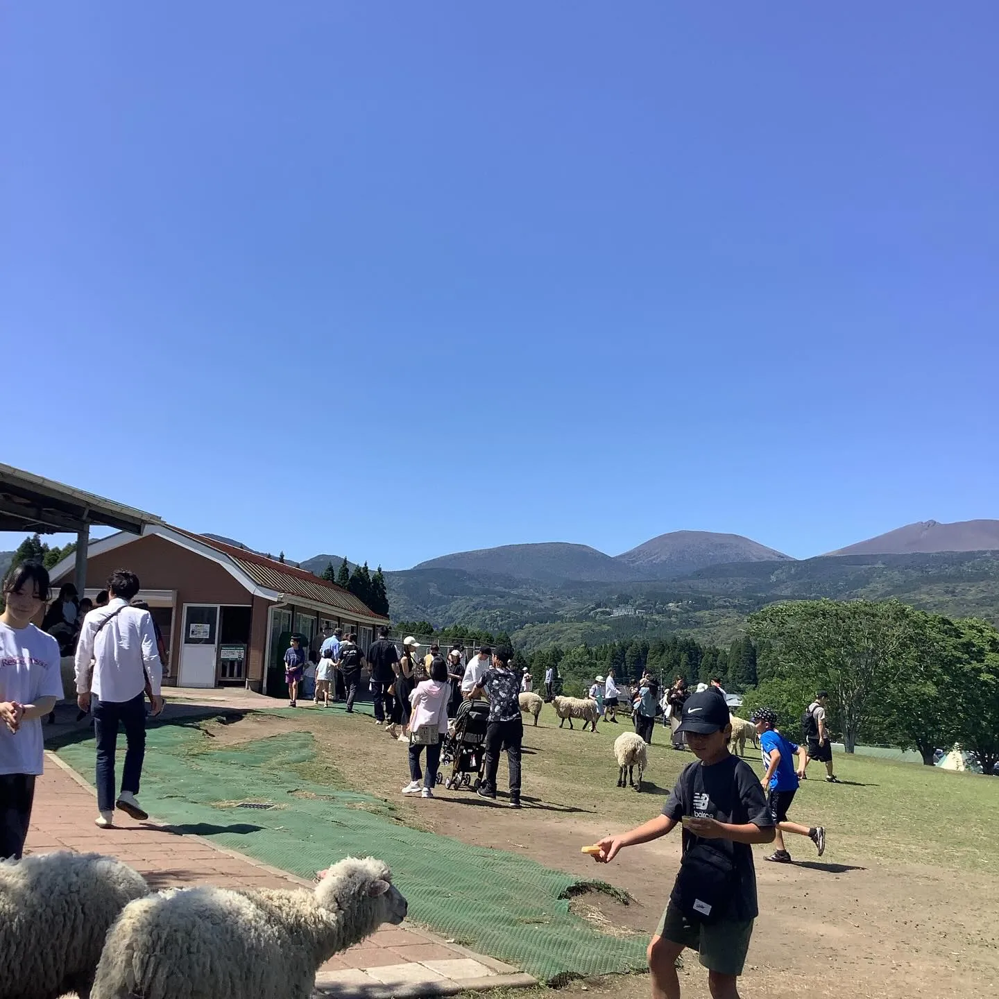 霧島連山　夏山登山