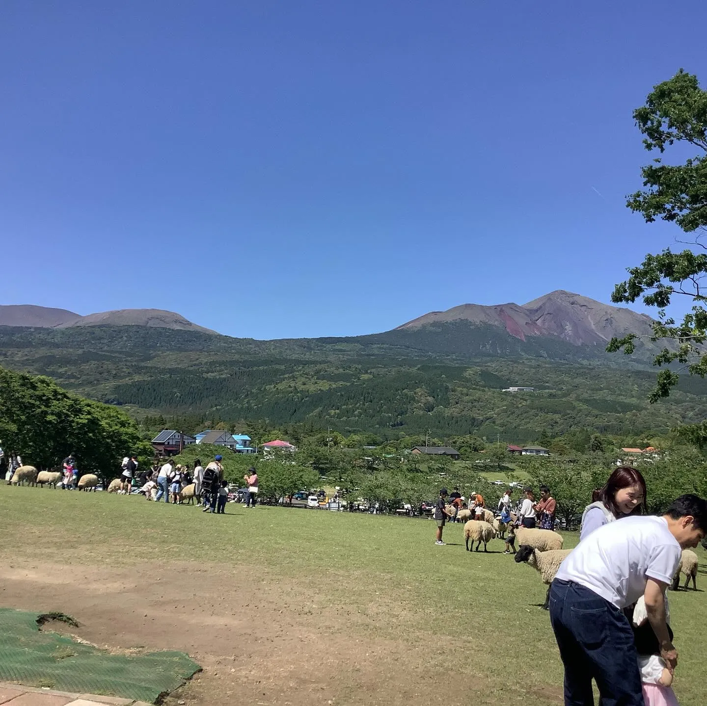 霧島連山　夏山登山