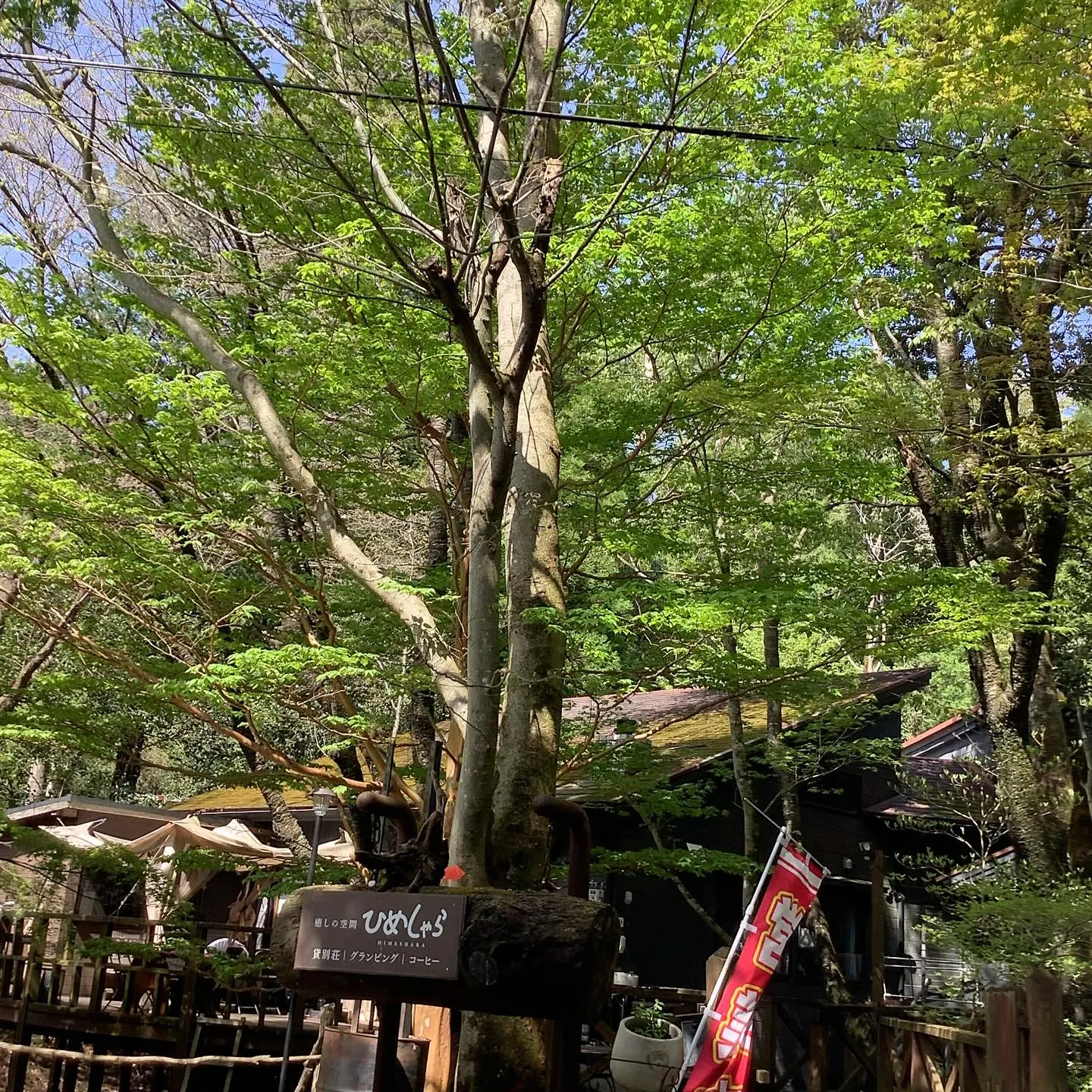 霧島連山　夏山登山