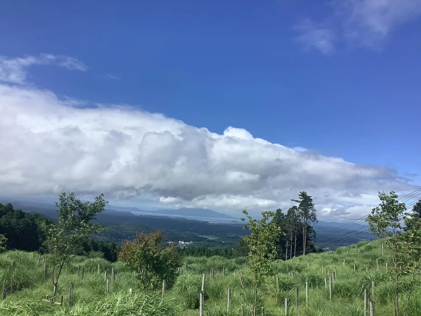 霧島錦江湾国立公園