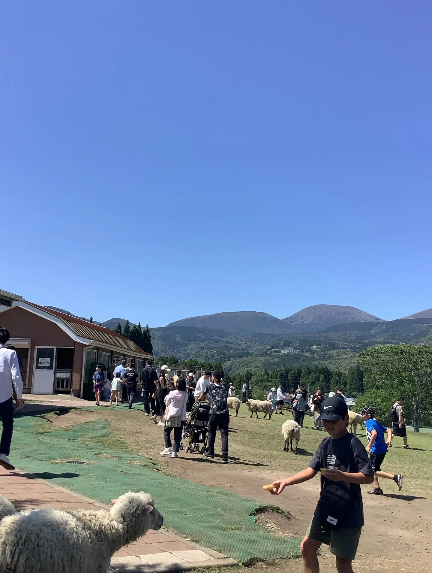 国宝霧島神宮、霧島連山