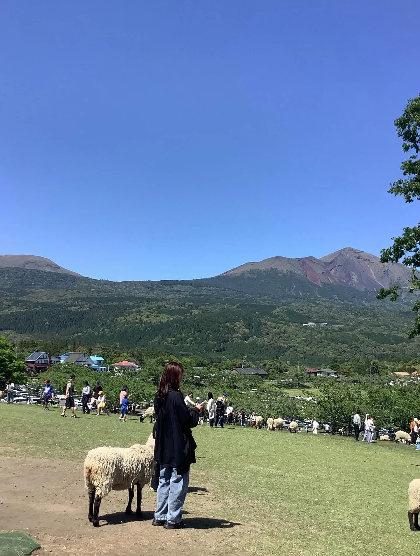 国宝霧島神宮、霧島連山