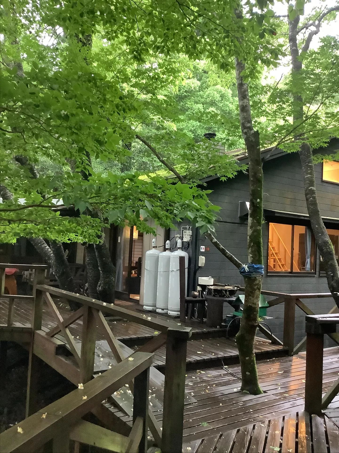 霧島連山、グループ旅行、