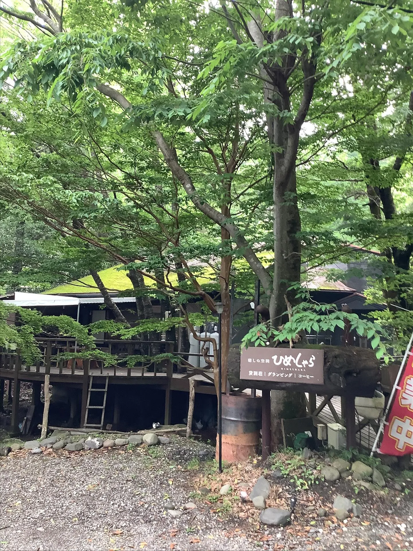 霧島連山、グループ旅行、