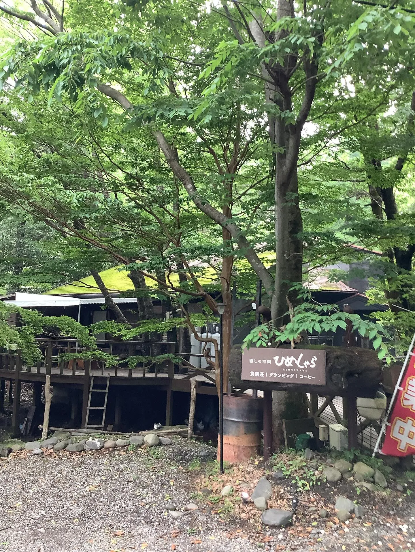 多人数　グループ旅行　非日常