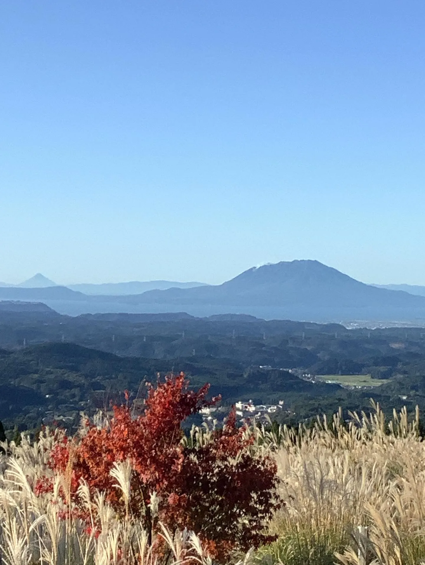 ワンダフルロケーション