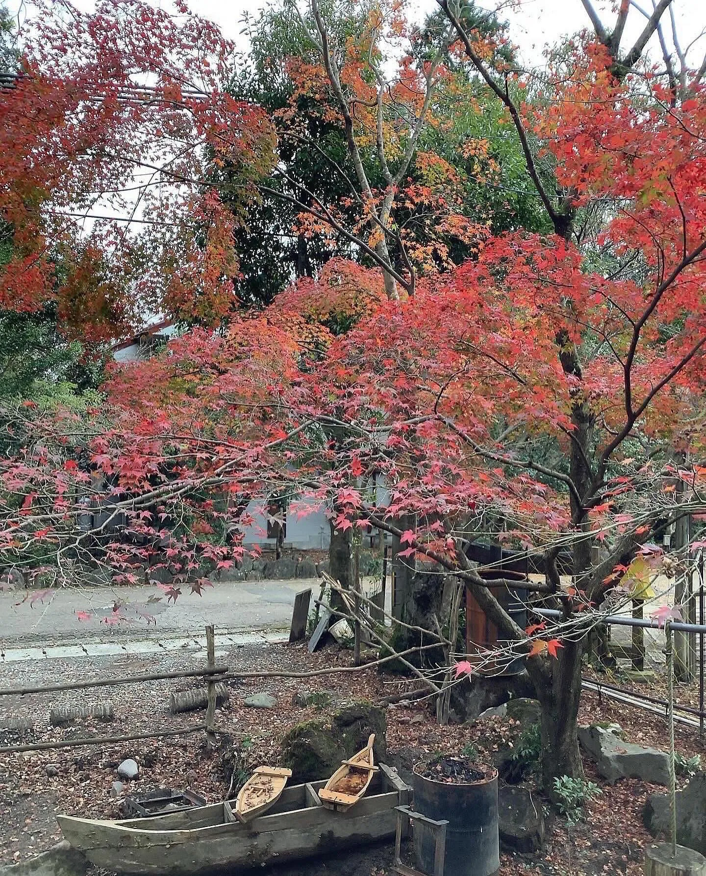 🍂秋の行楽シーズン