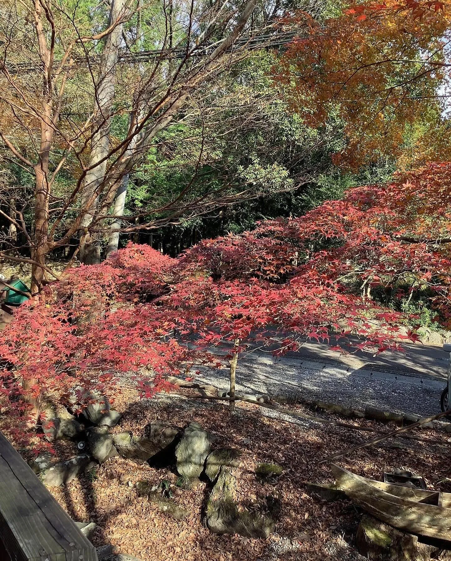 🍂秋の行楽シーズン