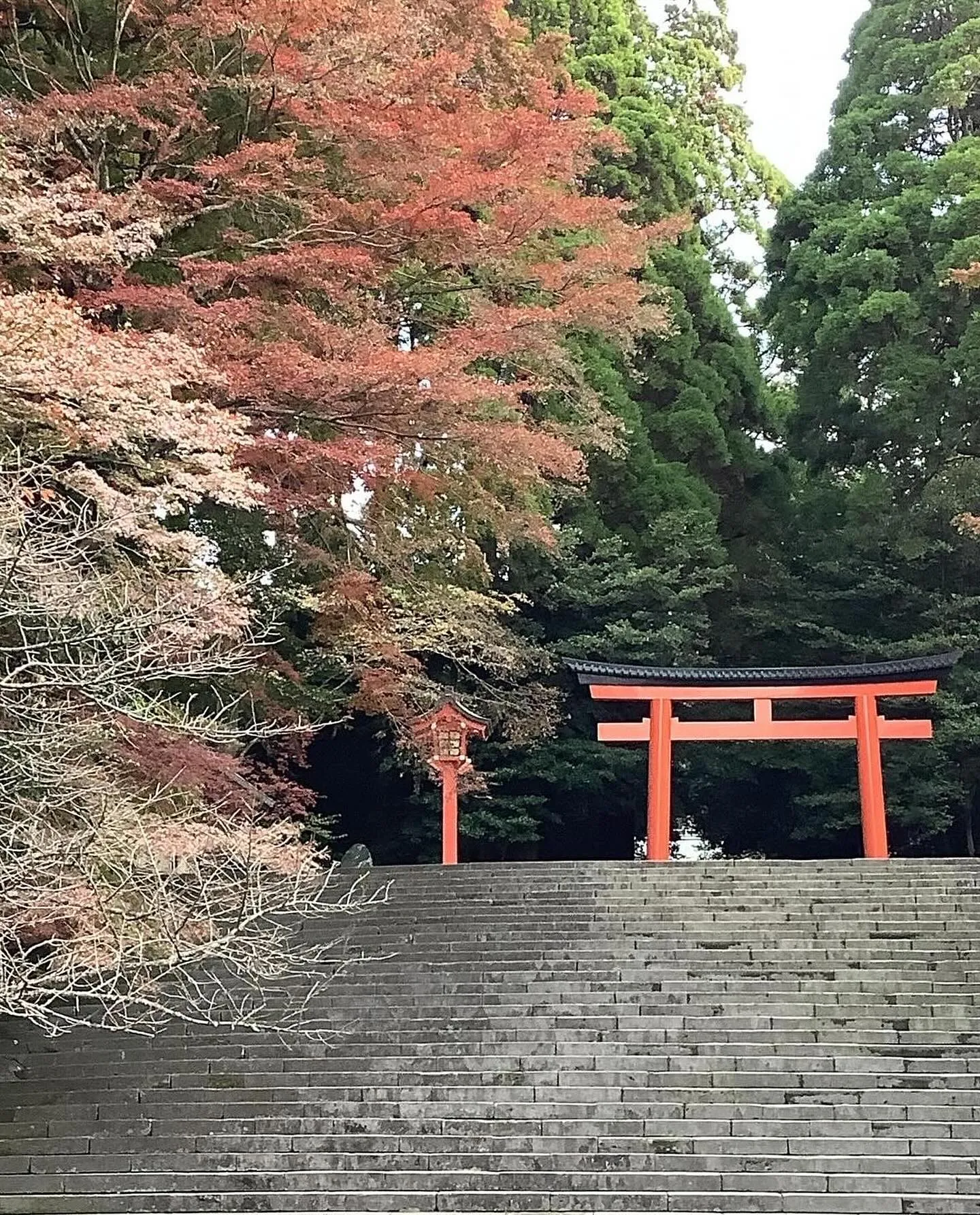 🍂秋の行楽シーズン