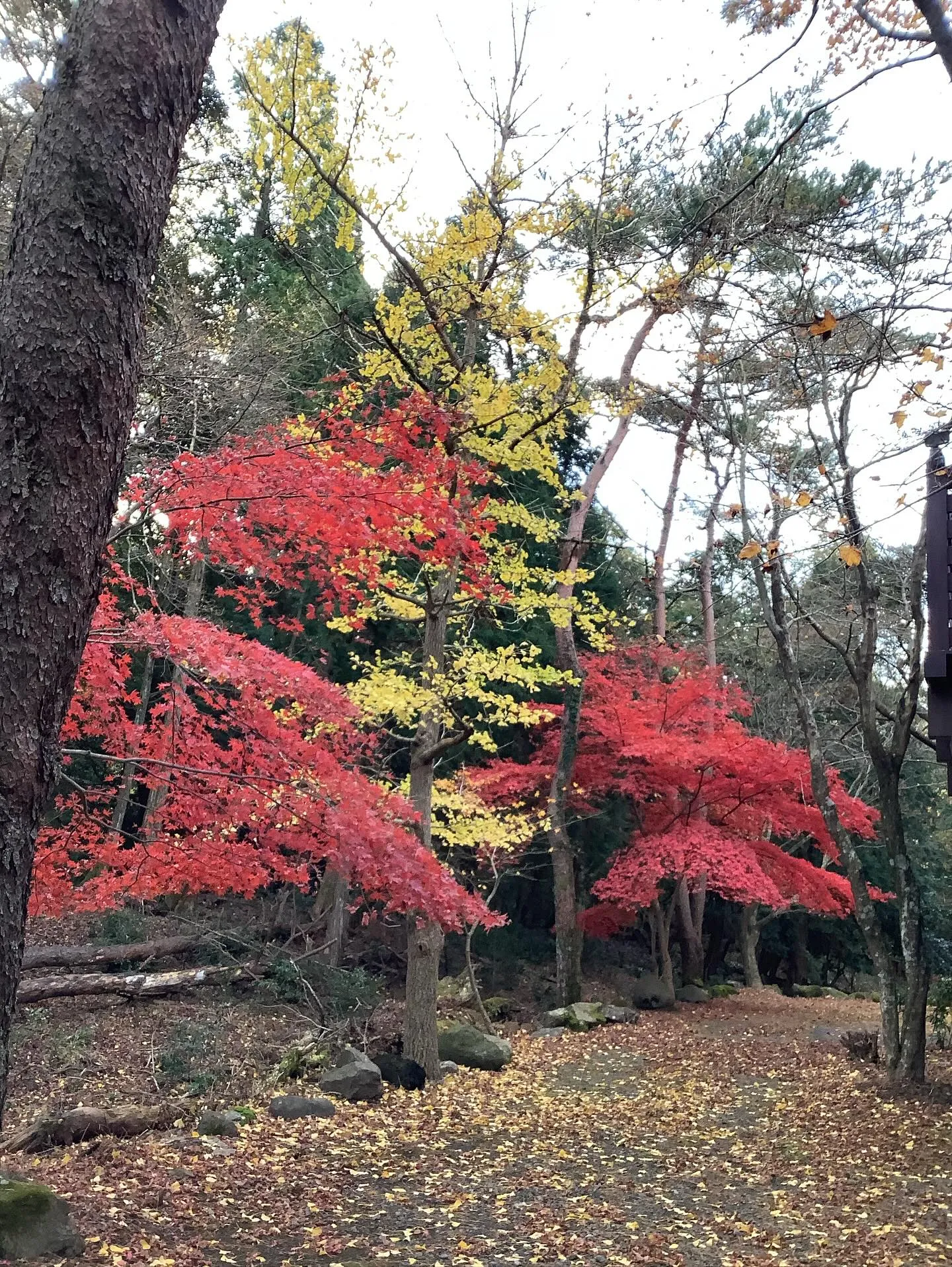🍂秋の行楽シーズン