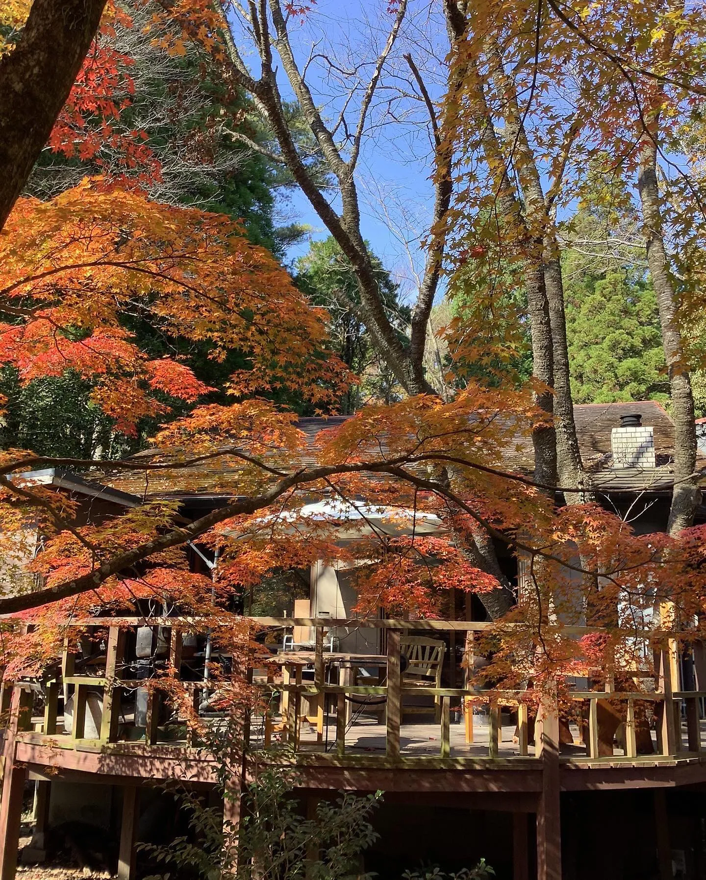 🍂秋の行楽シーズン