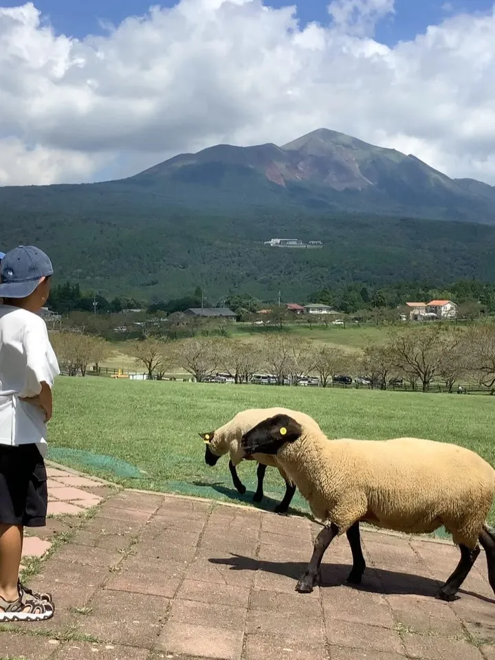 霧島連山、グループ旅行、